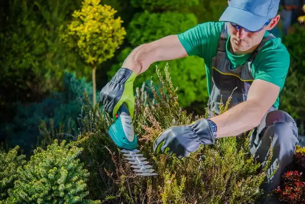 landscaping services Taylor Creek